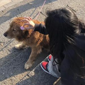 3d动漫精品一区视频在线观看
