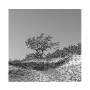 3d动漫精品一区视频在线观看
